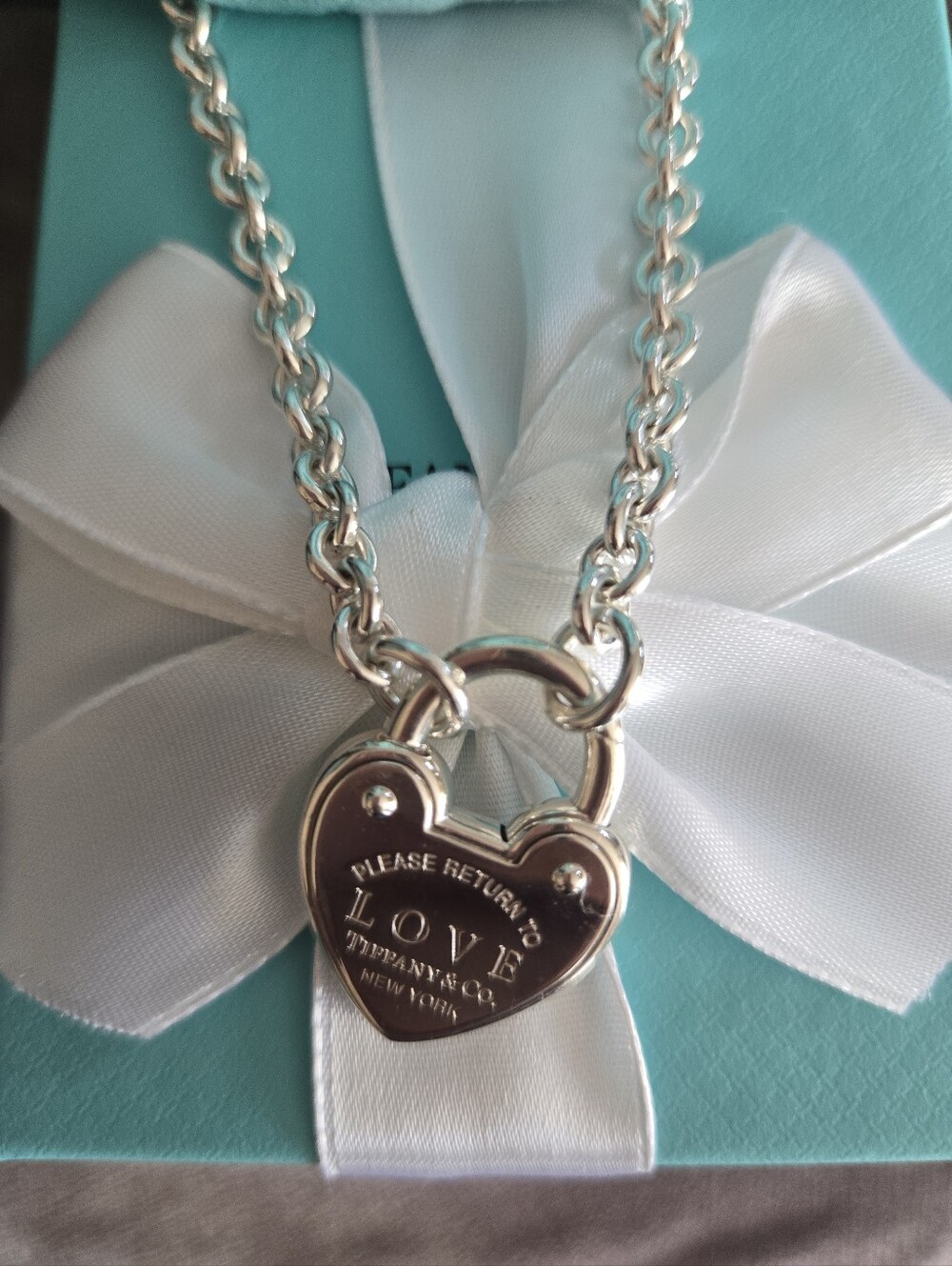 Tiffany & Co. Love Lock Necklace
